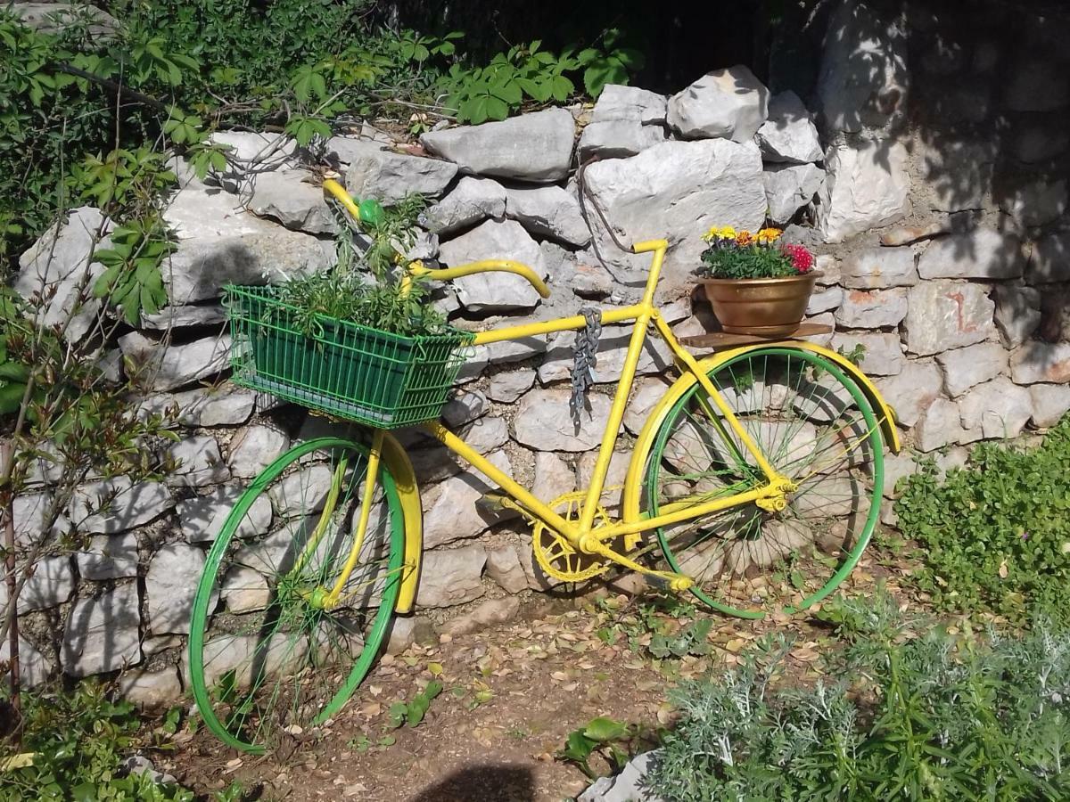 Apartment Rojal Mali Lošinj Eksteriør billede