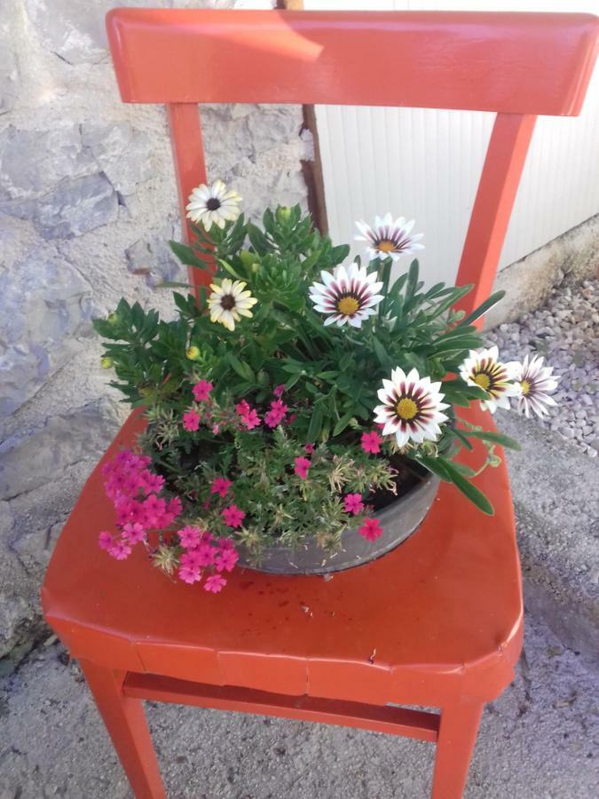 Apartment Rojal Mali Lošinj Eksteriør billede
